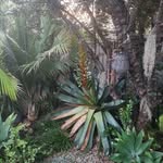 Janelle Hazelton - @janellehazelton - Instagram