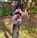 Janelle Hendricks - Facebook