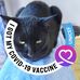 Janelle Hill - Facebook
