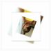 Janel Hyde - Facebook