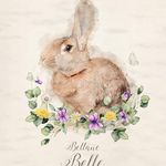 Janelle Knott - @belles_boutique_lethbridge - Instagram
