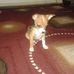Janelle Ledbetter - Facebook