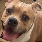 Andrea Lester - @janellelester80 - Instagram