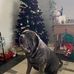 Janelle Lyons - Facebook