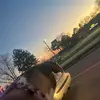Janelle Mathisen - @janellemathisen - TikTok