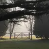 janellemeades - @janellemeades - TikTok