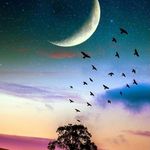 Janelle Nicholson - @lunar_essentials3 - Instagram