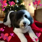 Janelle Pendleton Embrey - Facebook