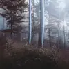 JanellePope90 - @janellepope90 - TikTok