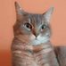 Janelle Rapp - Facebook