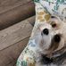 Janelle Ripp - Facebook