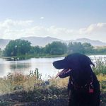 janelle_rogers - @janelle.alan - Instagram