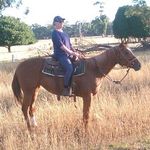 Janelle Shaw - @excavate1 - Instagram