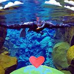 Janelle Shields - @janelle.shields.56 - Instagram