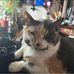 Janelle Chapman - Facebook