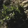 janelle.armstrong - @janelle.armstrong - TikTok