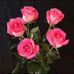 Janelle Simons - Facebook