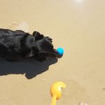 Janene Brown - @janene.brown.969 - Instagram