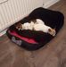 Janine Brown - Facebook
