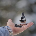 Janene Johnson - @janene.johnson.51 - Instagram