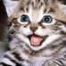 Janene Johnson - Facebook