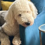 Janine Roberts - @janine.roberts.1420 - Instagram