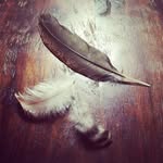 Janine Russell - @yarrowandyeti - Instagram