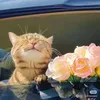 Walker Janes - @walker.janes - TikTok