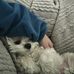 Janet Ahn - Facebook