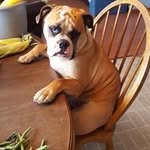 Janet Aitken - @janet.aitken.142 - Instagram