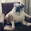 Janet Allende - @sinead0022 - TikTok
