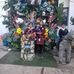 Janeth Allende Ccasani - Facebook