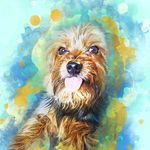Janet Amick Foley - @amickfoley - Instagram