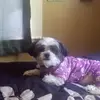 janetangles731 - @janetangles731 - TikTok