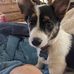 Janette Applegate - Facebook