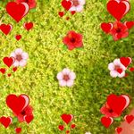 Janet Ashley - @janet.ashley.3363 - Instagram