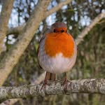 Janet Aspinall - @janbon18 - Instagram