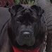 Janet Atwell-Mamay - Facebook