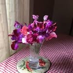 Janet Backwell - @janetbackwell - Instagram