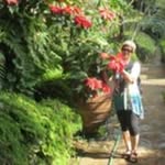 Janet Backman - @j_backman - Instagram