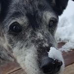 Janet Bader - @jbader3 - Instagram