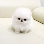 Janet Baggett - @janet.baggett - Instagram