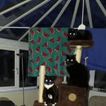 Janet Ball - @janet.ball.967 - Instagram