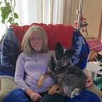 Janet Ball - @janetball408 - Instagram