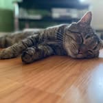 Janet Bancroft - @janetbancrof75 - Instagram