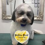 Janet Barbara Mein - @janetbarbaramein - Instagram