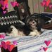 Janet Bard - Facebook