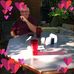 Janet Bare - Facebook