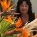 Janet Bartholomew - Facebook