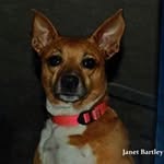 Janet Fields Bartley - @janetfieldsbartley - Instagram